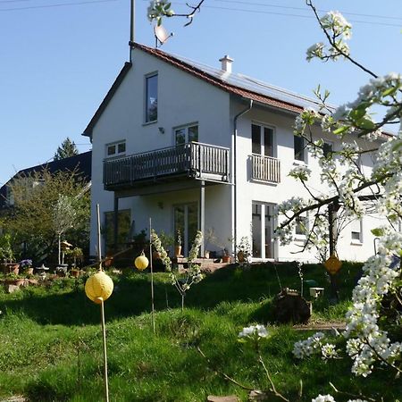 Appartement Otterhaus à Trippstadt Extérieur photo